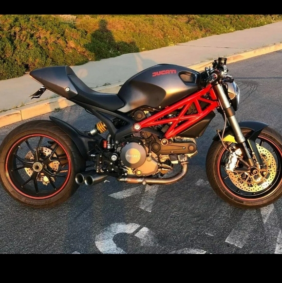 Meet your Posher, Gabriel - Picture 1 of 1